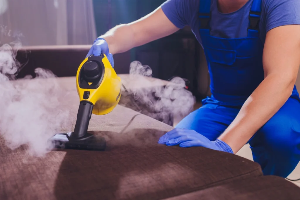 Steam Cleaning